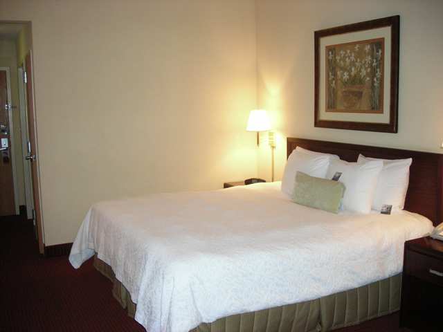 Hampton Inn Tallahassee-Central Room photo